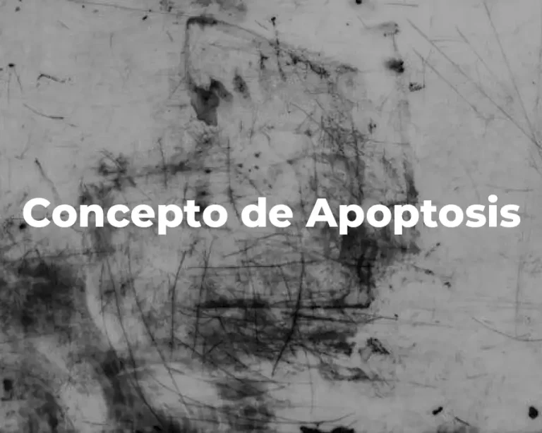 Concepto de Apoptosis