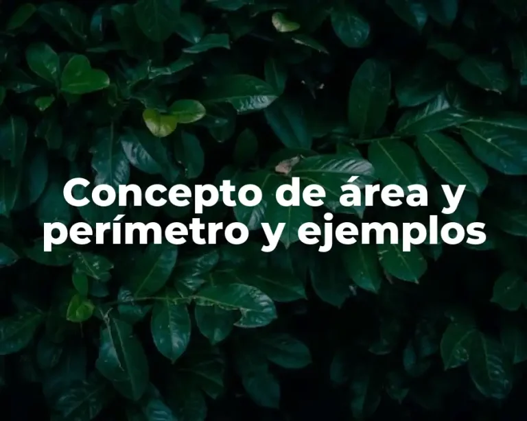 Concepto de área y perímetro y ejemplos