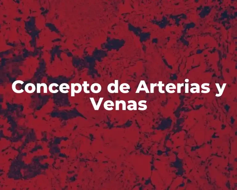 Concepto de Arterias y Venas