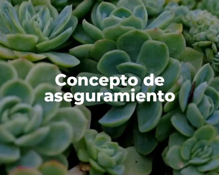 Concepto de aseguramiento