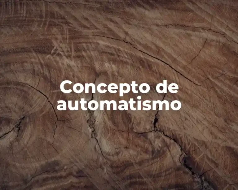 Concepto de automatismo