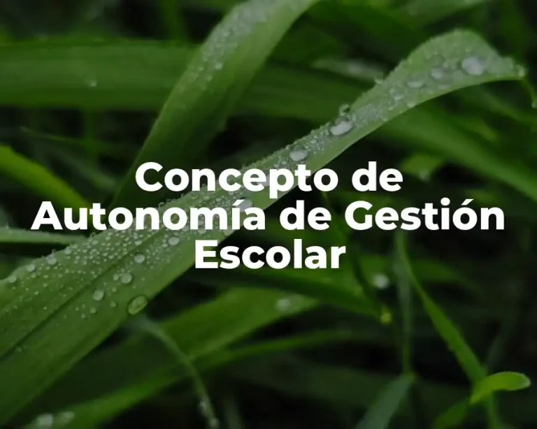 Concepto de Autonomía de Gestión Escolar