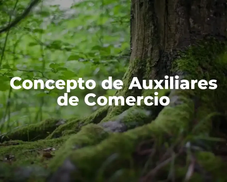 Concepto de Auxiliares de Comercio