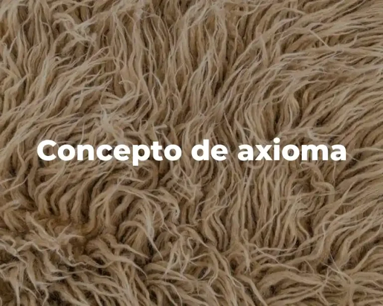 Concepto de axioma