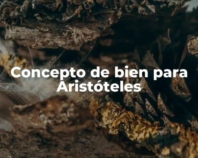 Concepto de bien para Aristóteles
