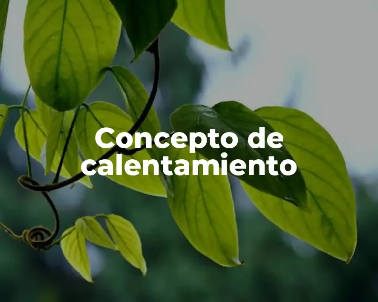 Concepto de calentamiento