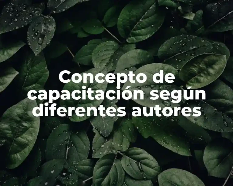 Concepto de capacitación según diferentes autores