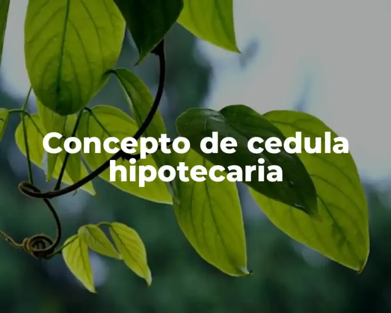 Concepto de cedula hipotecaria