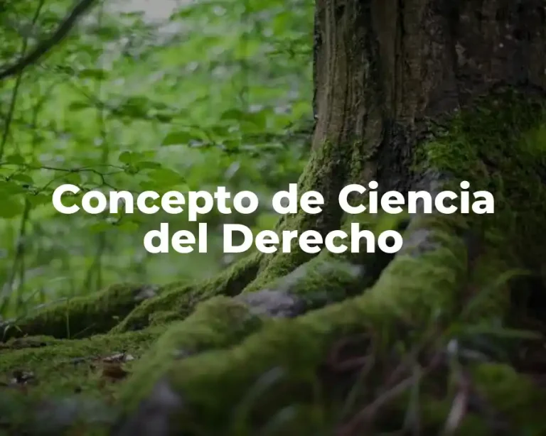 Concepto de Ciencia del Derecho