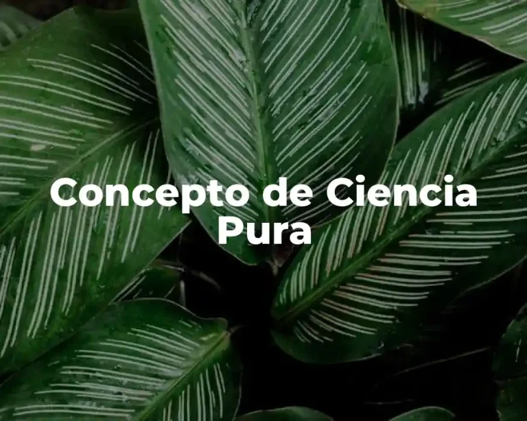 Concepto de Ciencia Pura