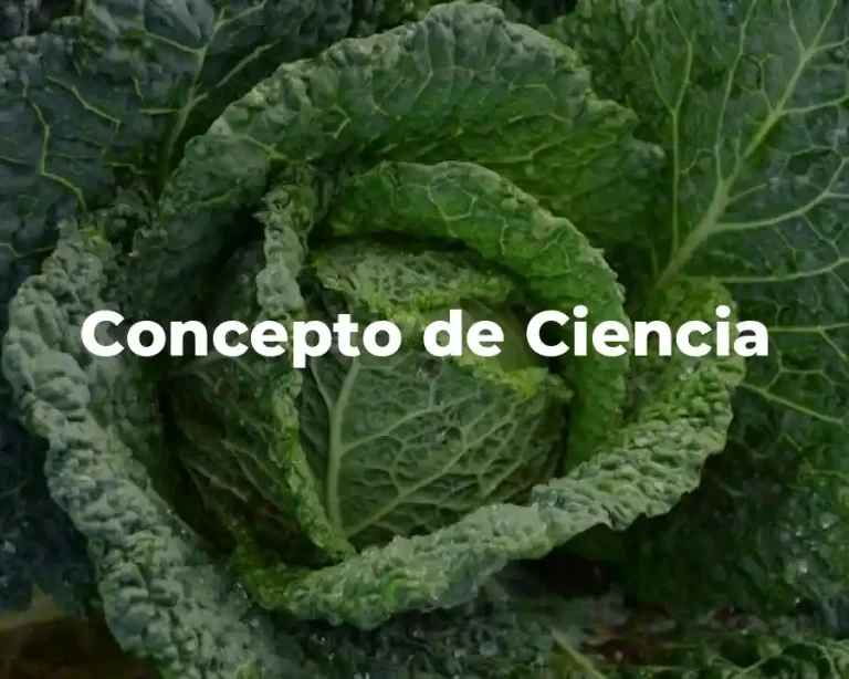 Concepto de Ciencia