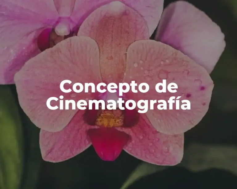 Concepto de Cinematografía