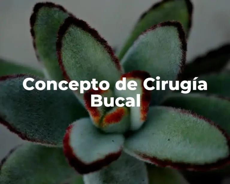 Concepto de Cirugía Bucal