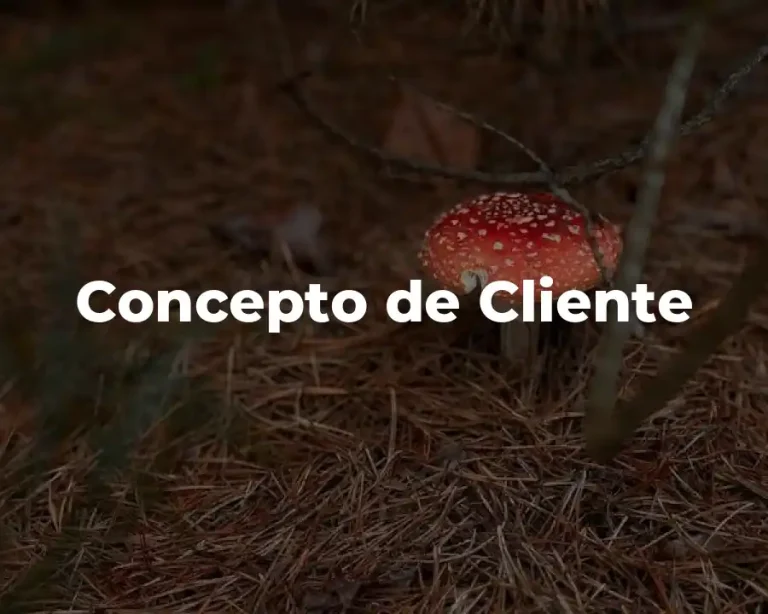 Concepto de Cliente