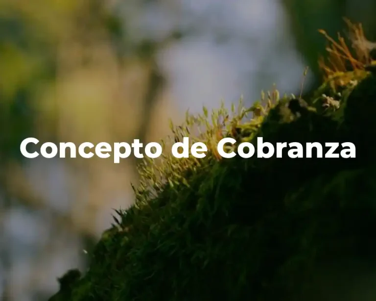 Concepto de Cobranza