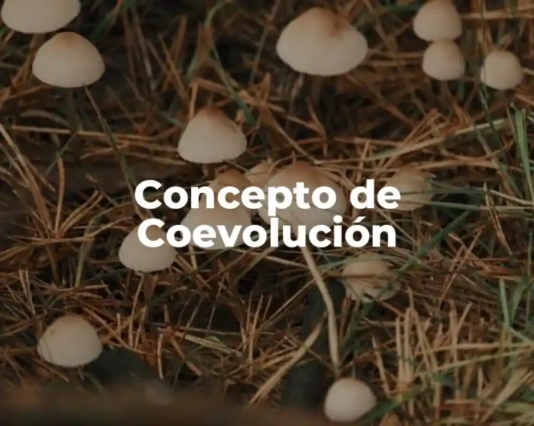 Concepto de Coevolución