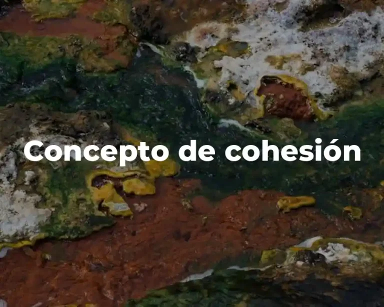 Concepto de cohesión