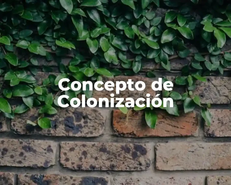 Concepto de Colonización
