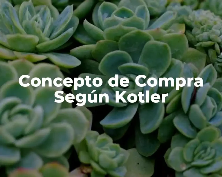 Concepto de Compra Según Kotler
