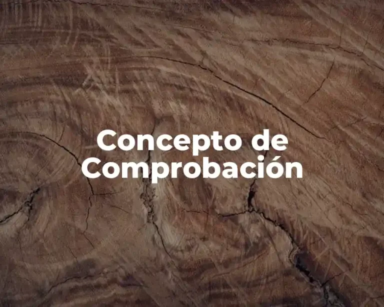 Concepto de Comprobación