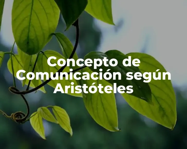 Concepto de Comunicación según Aristóteles
