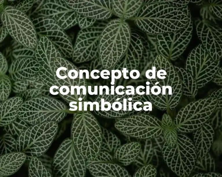 Concepto de comunicación simbólica