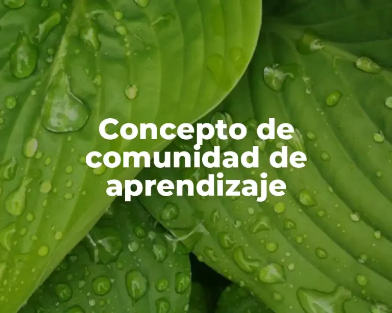 Concepto de comunidad de aprendizaje