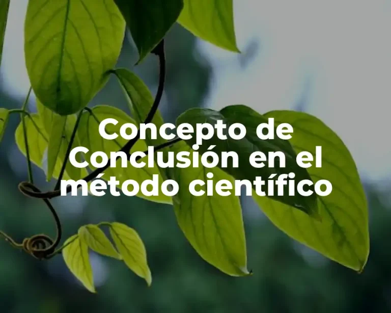 Concepto de Conclusión en el método científico