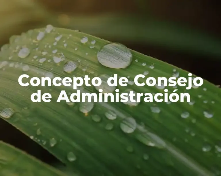 Concepto de Consejo de Administración