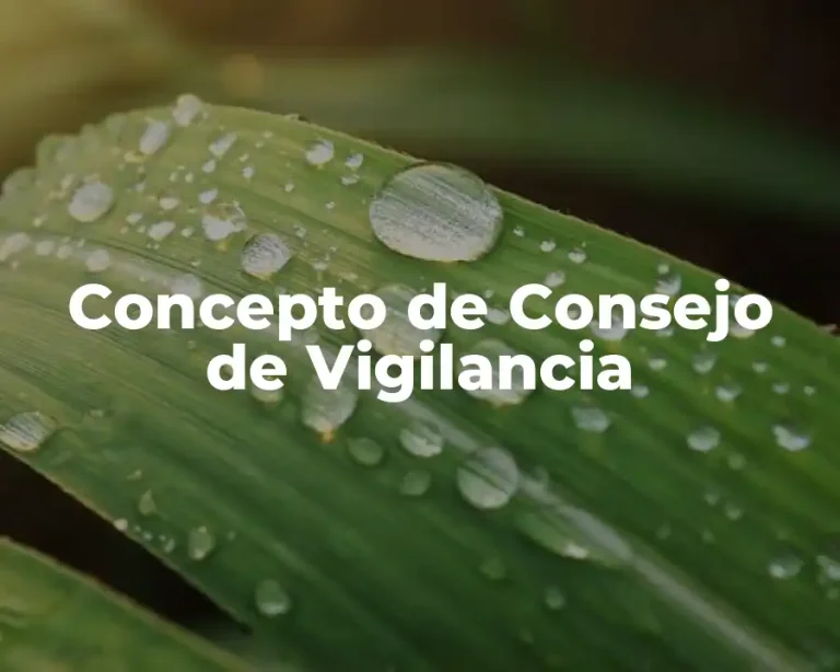 Concepto de Consejo de Vigilancia