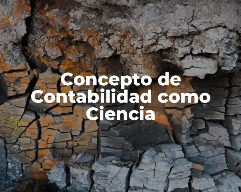 Concepto de Contabilidad como Ciencia