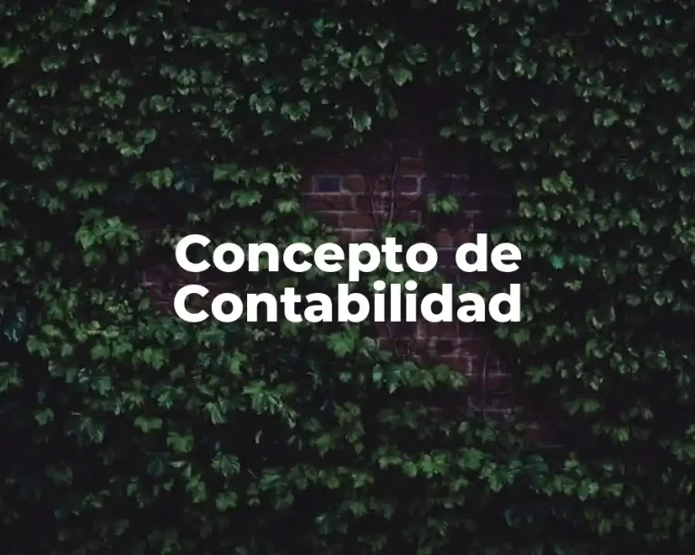 Concepto de Contabilidad