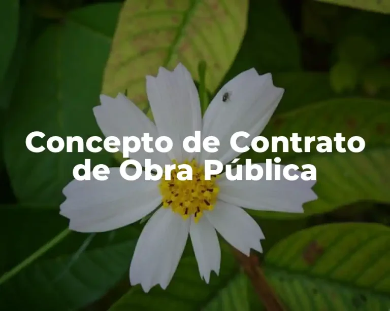 Concepto de Contrato de Obra Pública