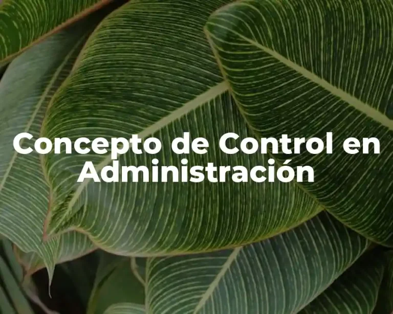 Concepto de Control en Administración