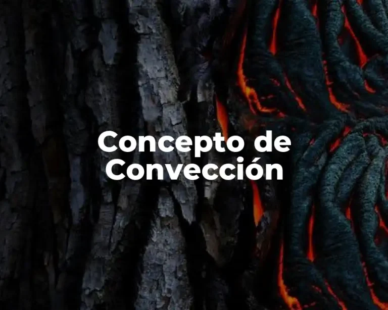 Concepto de Convección