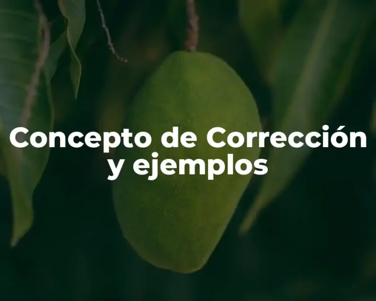 Concepto de Corrección y ejemplos