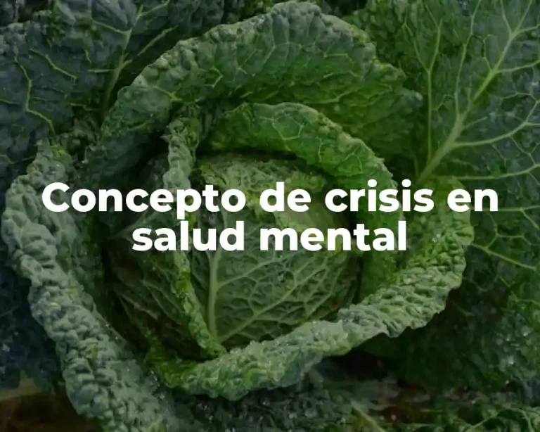 Concepto de crisis en salud mental