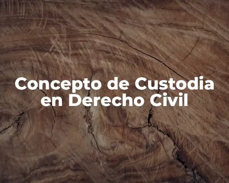 Concepto de Custodia en Derecho Civil