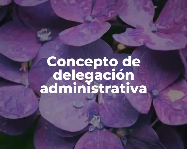 Concepto de delegación administrativa