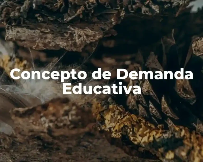Concepto de Demanda Educativa