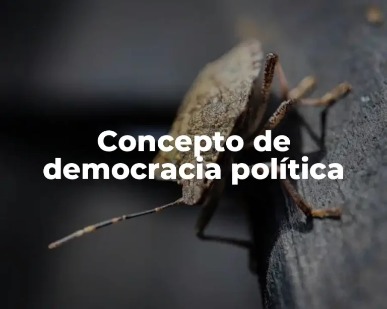 Concepto de democracia política