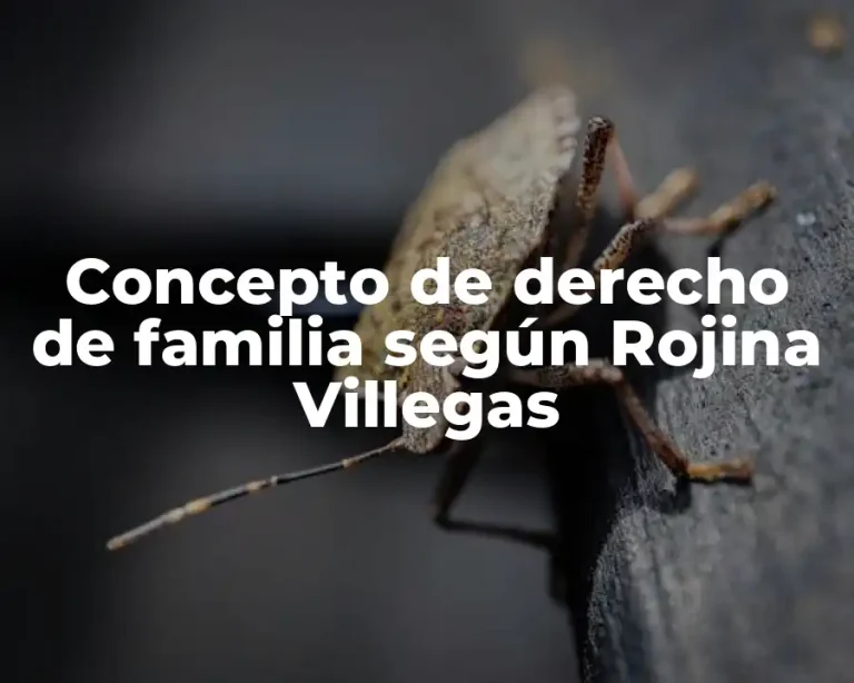 Concepto de derecho de familia según Rojina Villegas