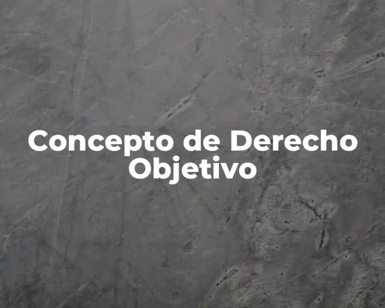 Concepto de Derecho Objetivo