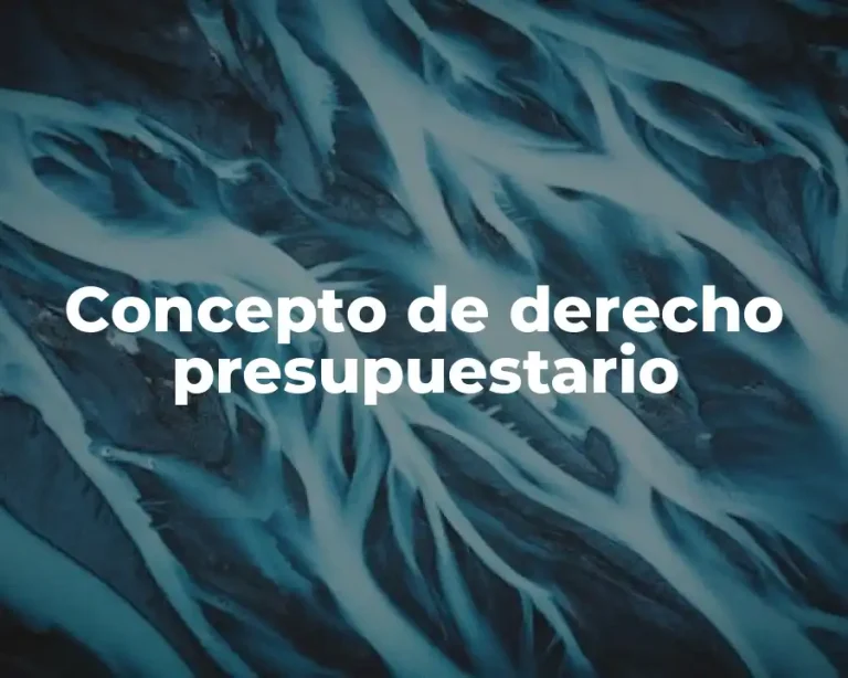 Concepto de derecho presupuestario