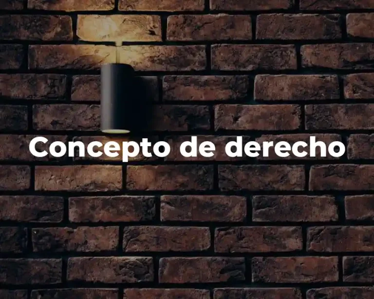 Concepto de derecho