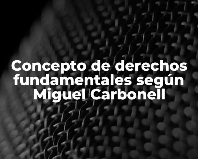 Concepto de derechos fundamentales según Miguel Carbonell