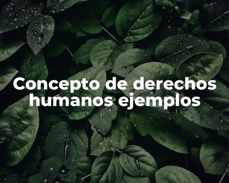 Concepto de derechos humanos ejemplos