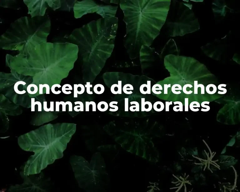 Concepto de derechos humanos laborales