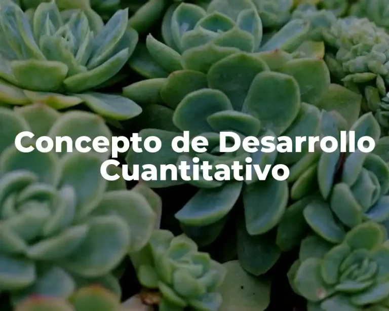 Concepto de Desarrollo Cuantitativo