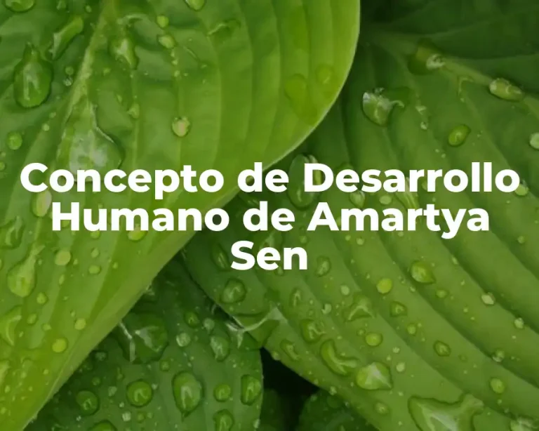 Concepto de Desarrollo Humano de Amartya Sen
